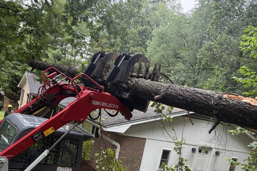The grapple machine's jaws closed around a fallen pine trunk at the house corner