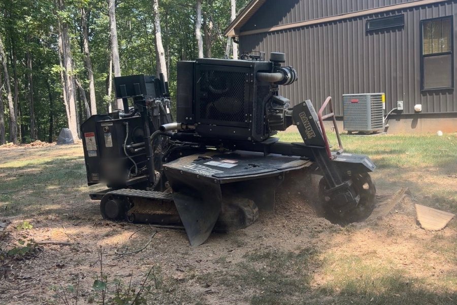 The crew's tracked stump grinder cutting a stump down beside a house, sawdust spraying off the wheel