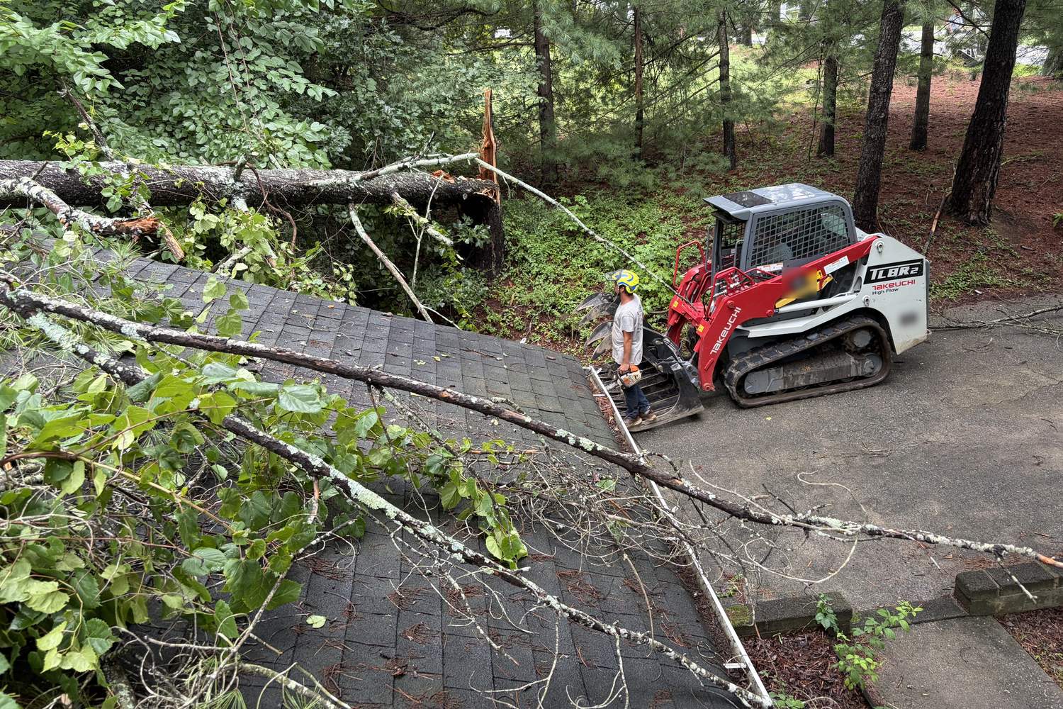 A red and white tracked loader with a grapple on a driveway beside a house, seen from the roof, where a fallen pine still lies across the shingles