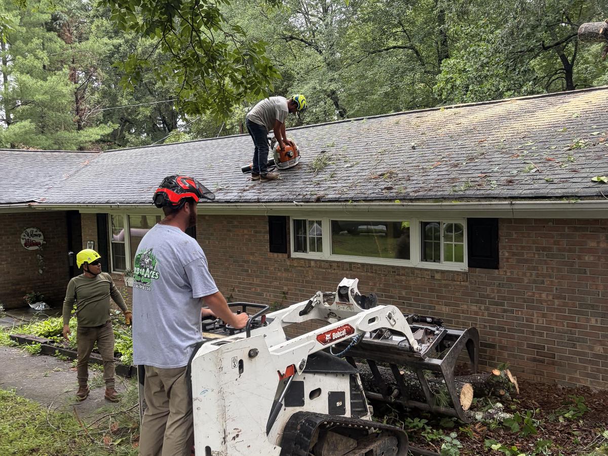 A compact tracked loader below the eave while crew members work the fallen tree off the roof